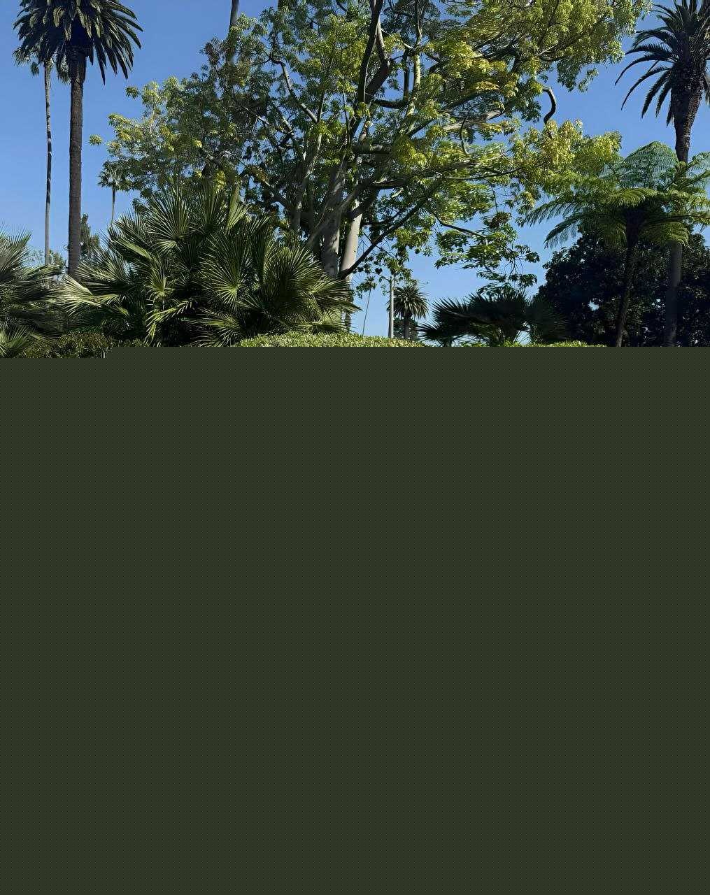 前恒大足球学院学员田瑞杰 Rudie 23 前恒大足球学院学员田瑞杰 Rudie 23