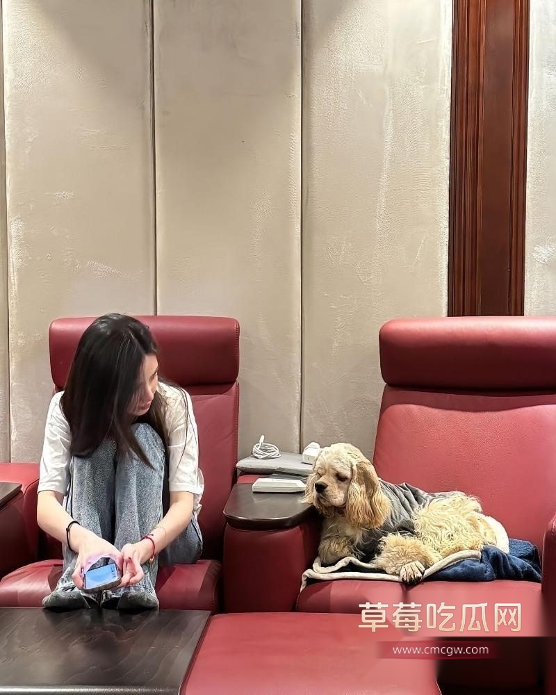 白衬衫牛仔裤女孩的白月光杀伤力4 白衬衫牛仔裤女孩的白月光杀伤力4