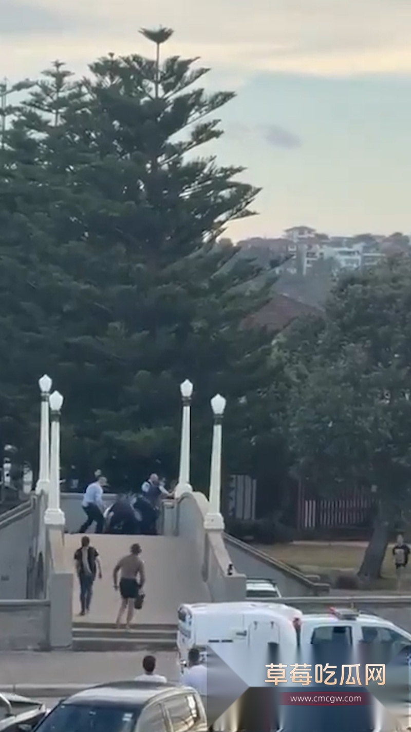 澳大利亚邦迪海滩光明节变修罗场 恐怖分子持枪预谋屠杀犹太人 5 澳大利亚邦迪海滩光明节变修罗场 恐怖分子持枪预谋屠杀犹太人 5