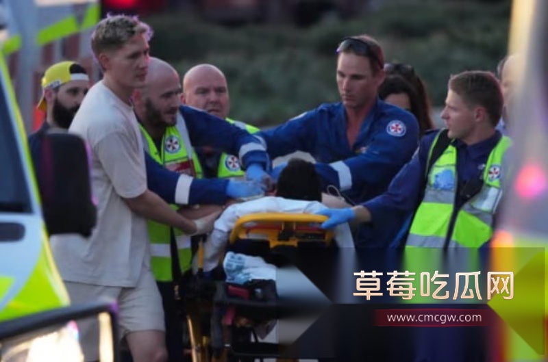 澳大利亚邦迪海滩光明节变修罗场 恐怖分子持枪预谋屠杀犹太人 8 澳大利亚邦迪海滩光明节变修罗场 恐怖分子持枪预谋屠杀犹太人 8