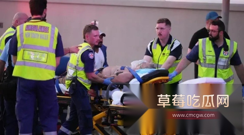 澳大利亚邦迪海滩光明节变修罗场 恐怖分子持枪预谋屠杀犹太人 9 澳大利亚邦迪海滩光明节变修罗场 恐怖分子持枪预谋屠杀犹太人 9