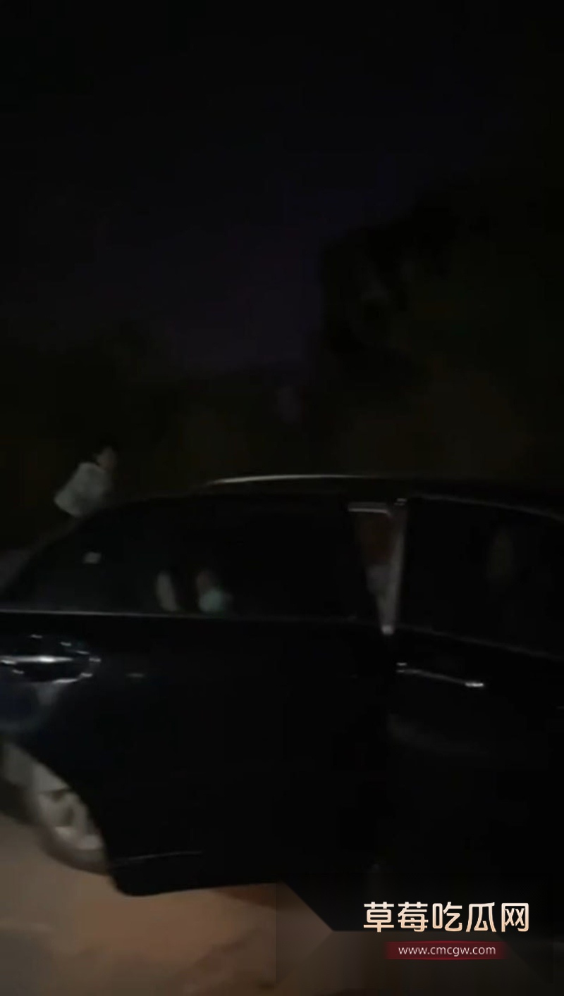 精神小伙作死拍摄 3 精神小伙作死拍摄 3