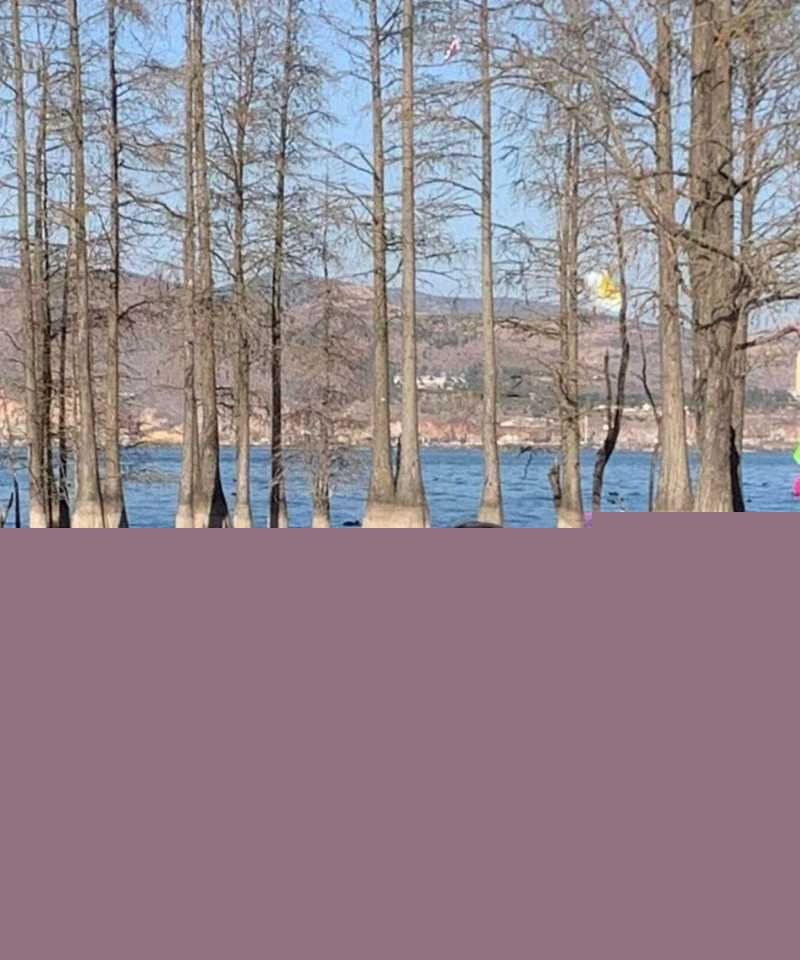 山东顶级反差人妻陈丽 24 山东顶级反差人妻陈丽 24