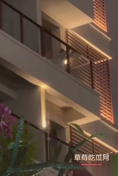 阳台后入做爱被偷拍 2