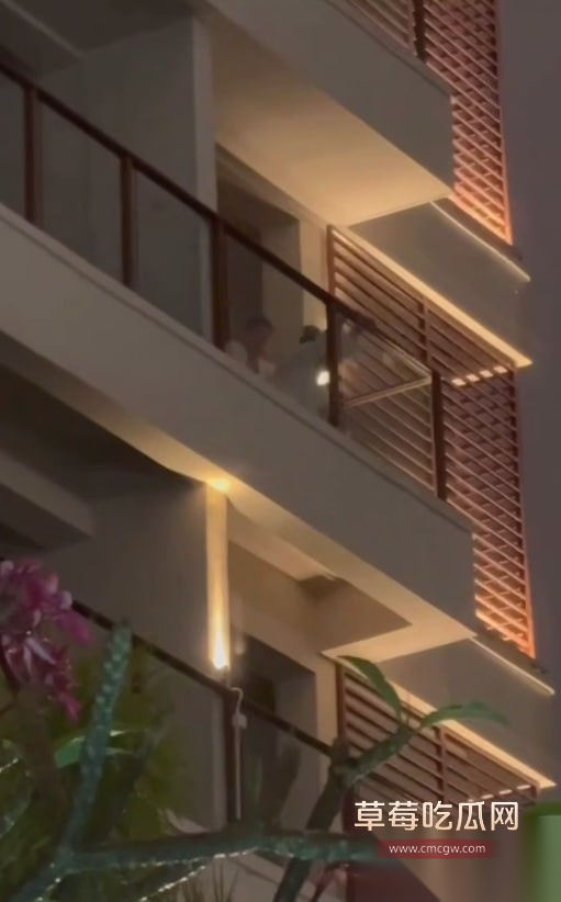 阳台后入做爱被偷拍 3