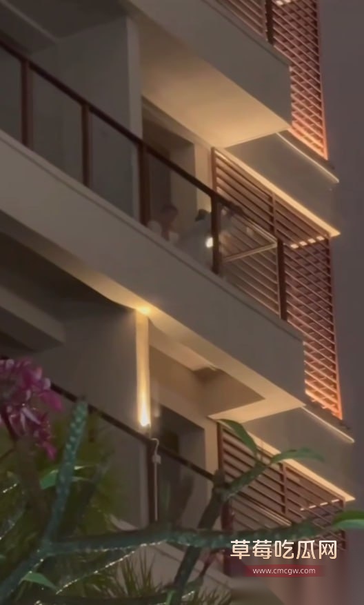 阳台后入做爱被偷拍 5