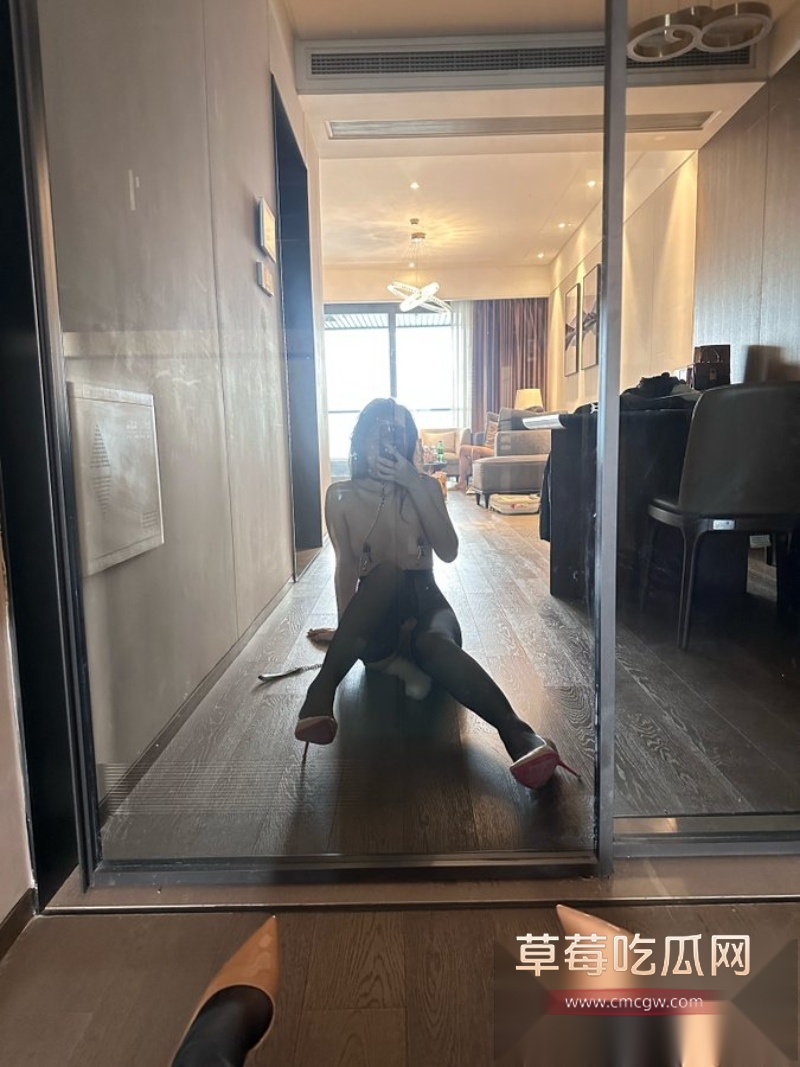 上海极品少妇 15