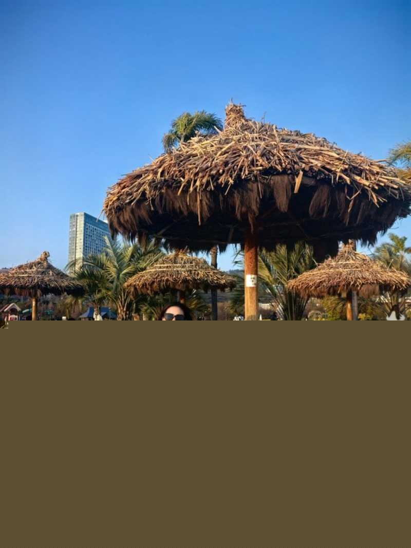 上海极品少妇 19