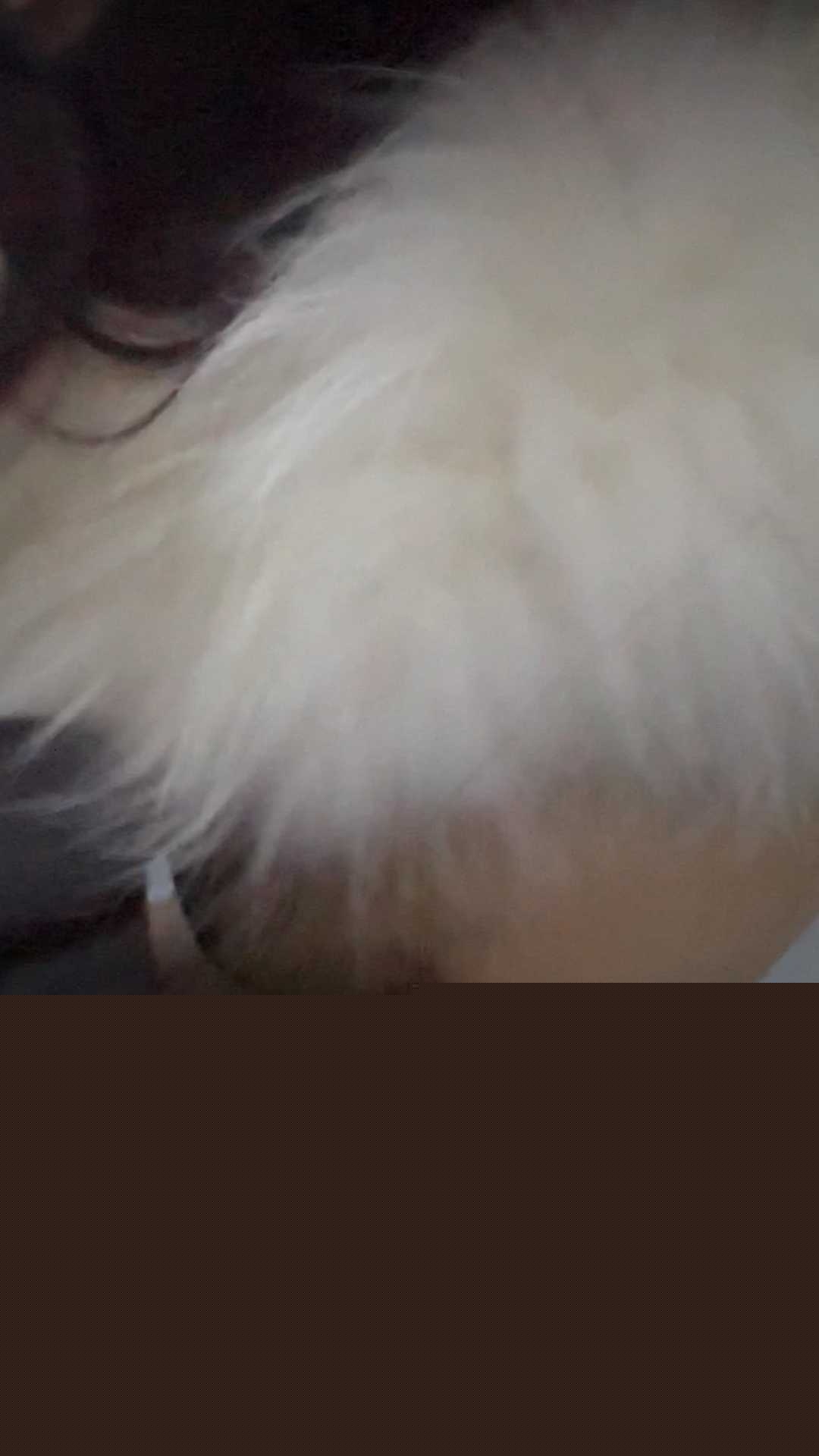 极品女神 月月 9