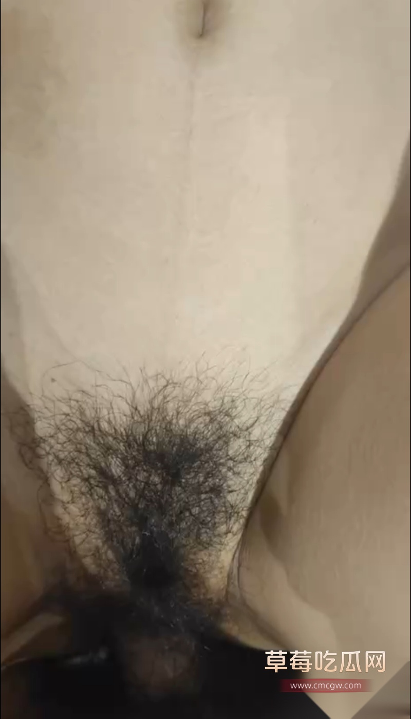 吉林大学大建筑学院王雨彤 10