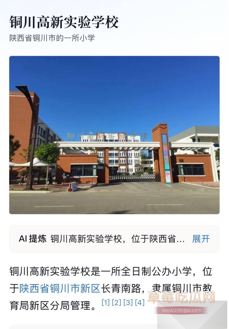 陕西铜川高新实验学校音乐老师李思瞳 24 陕西铜川高新实验学校音乐老师李思瞳 24