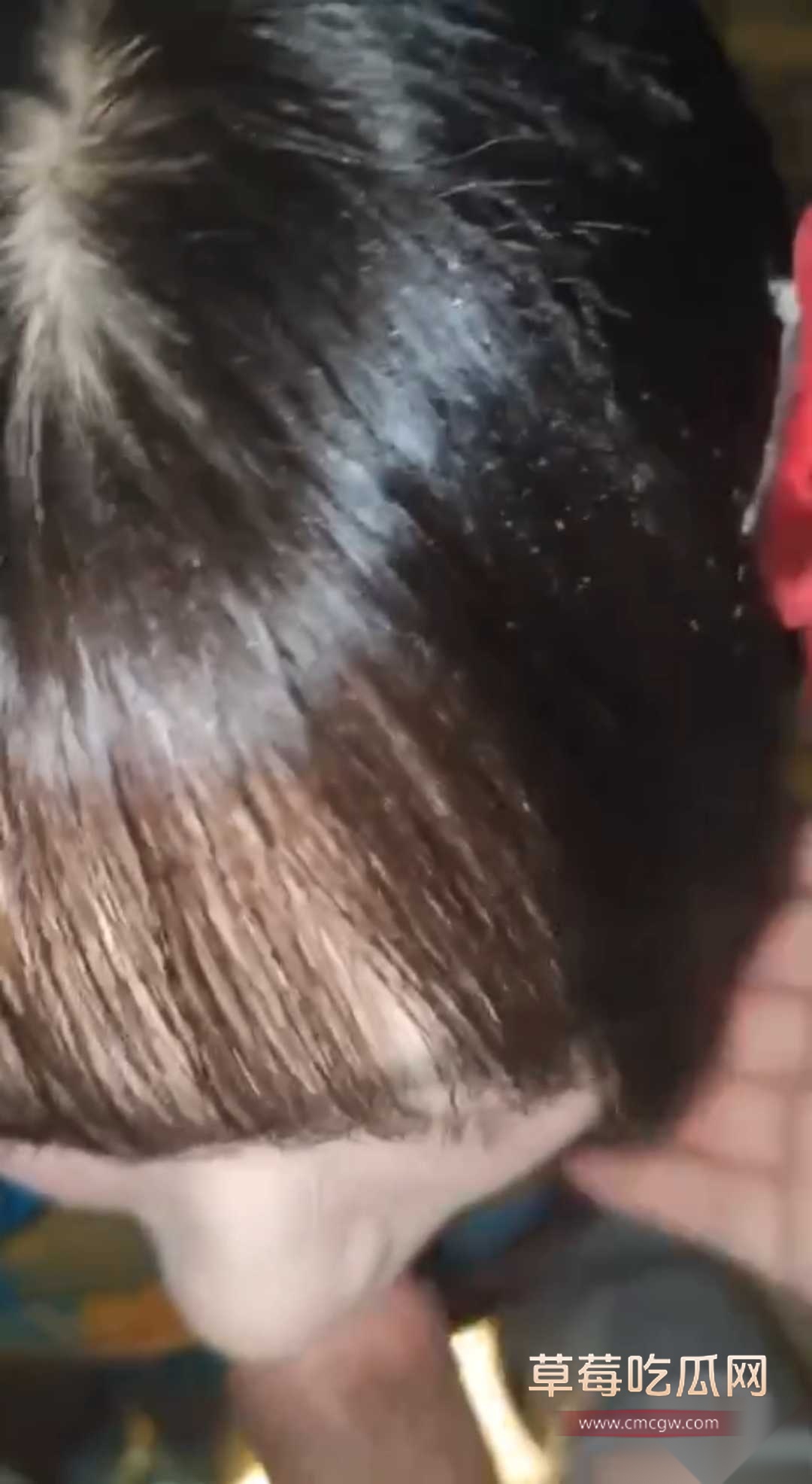 广州清纯反差嫩妹王悦 18