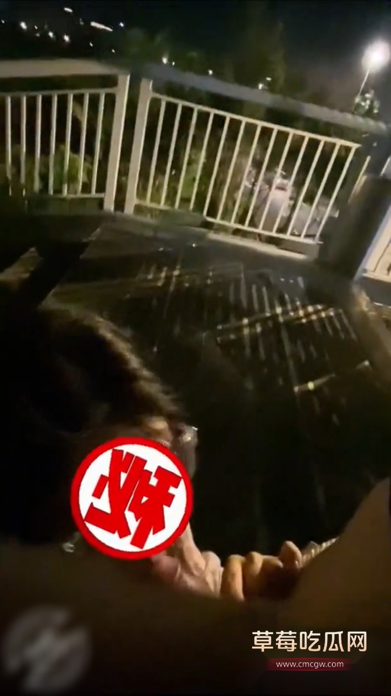 哥哥带妹妹去户外喝酒聊天 4