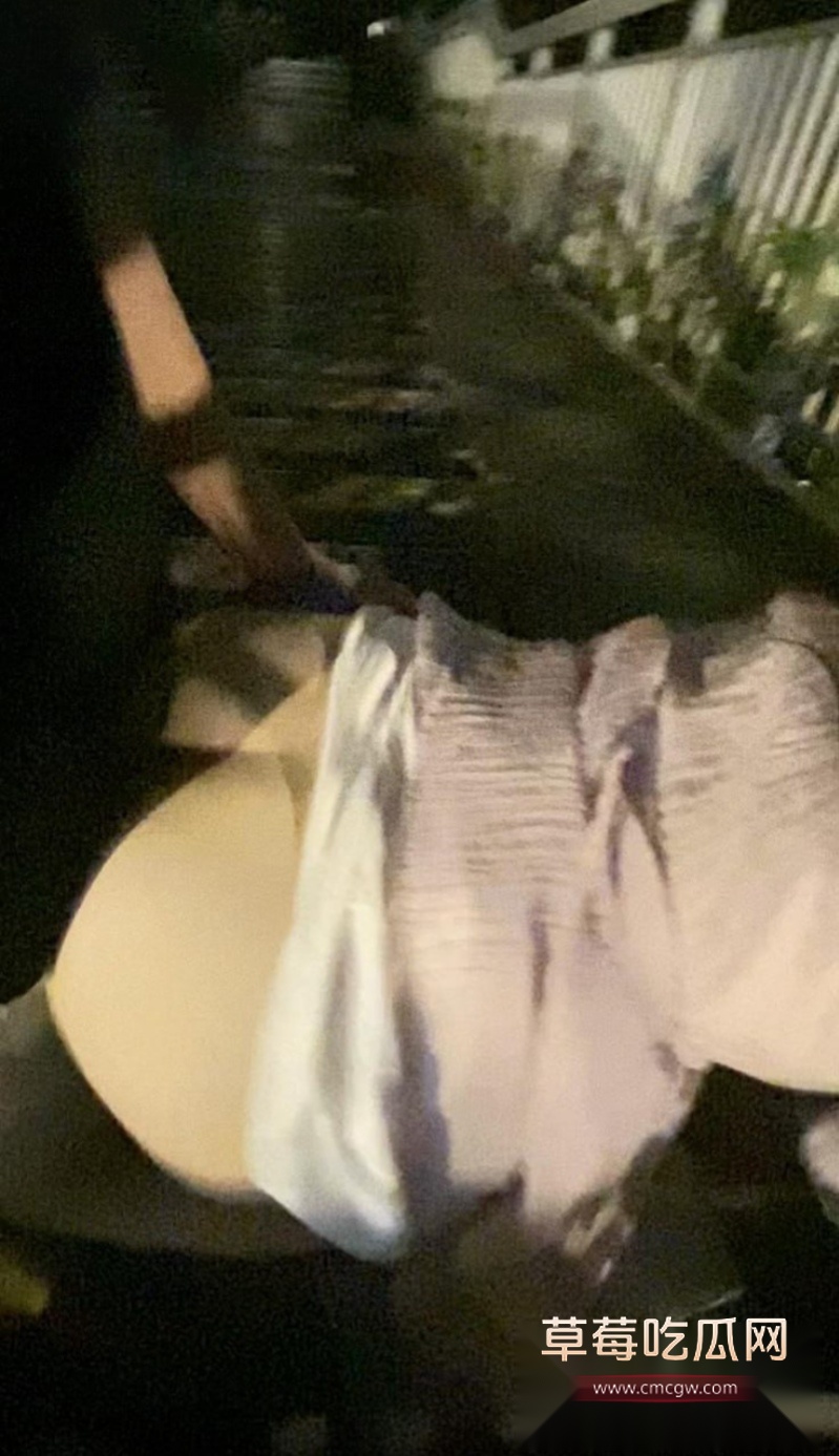 哥哥带妹妹去户外喝酒聊天 9