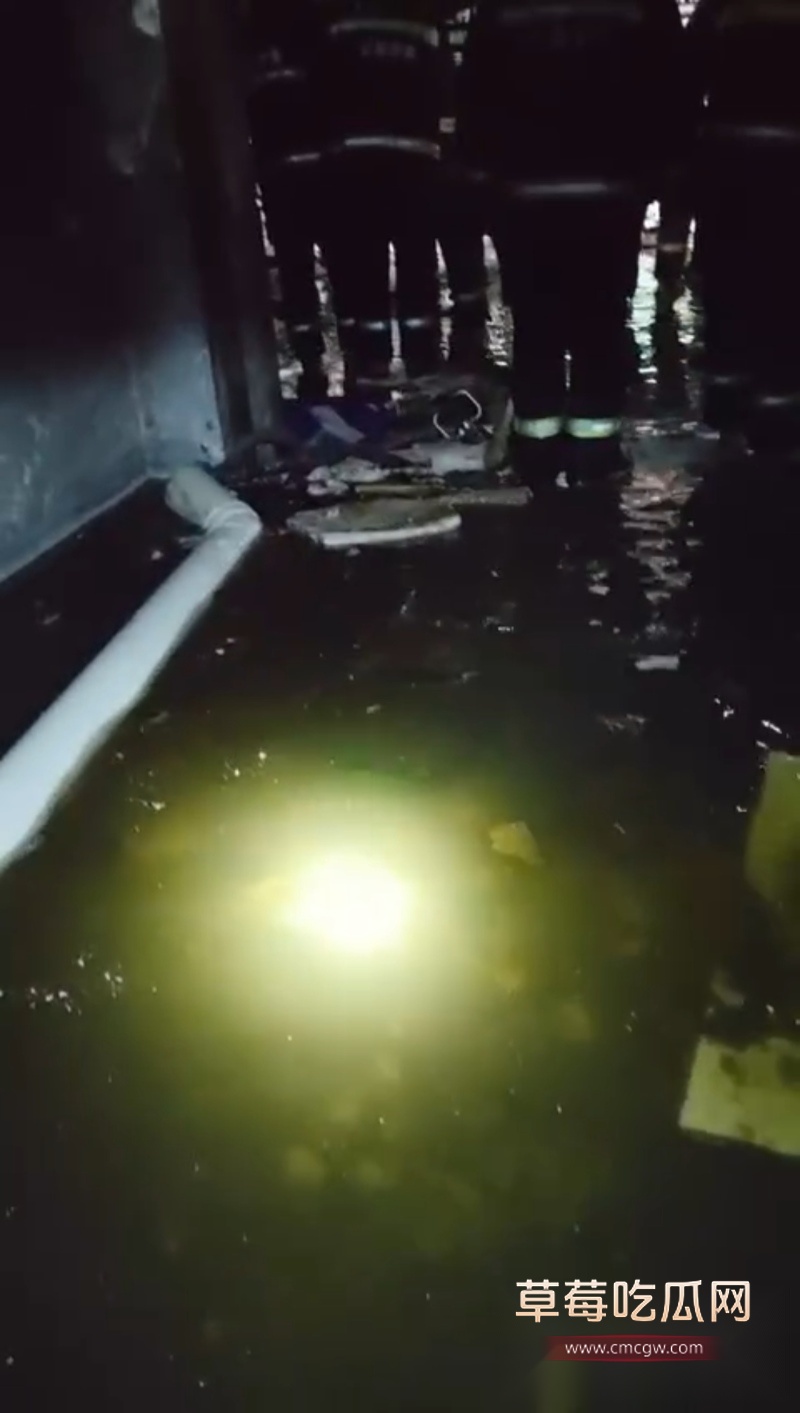 济南重大事故 13