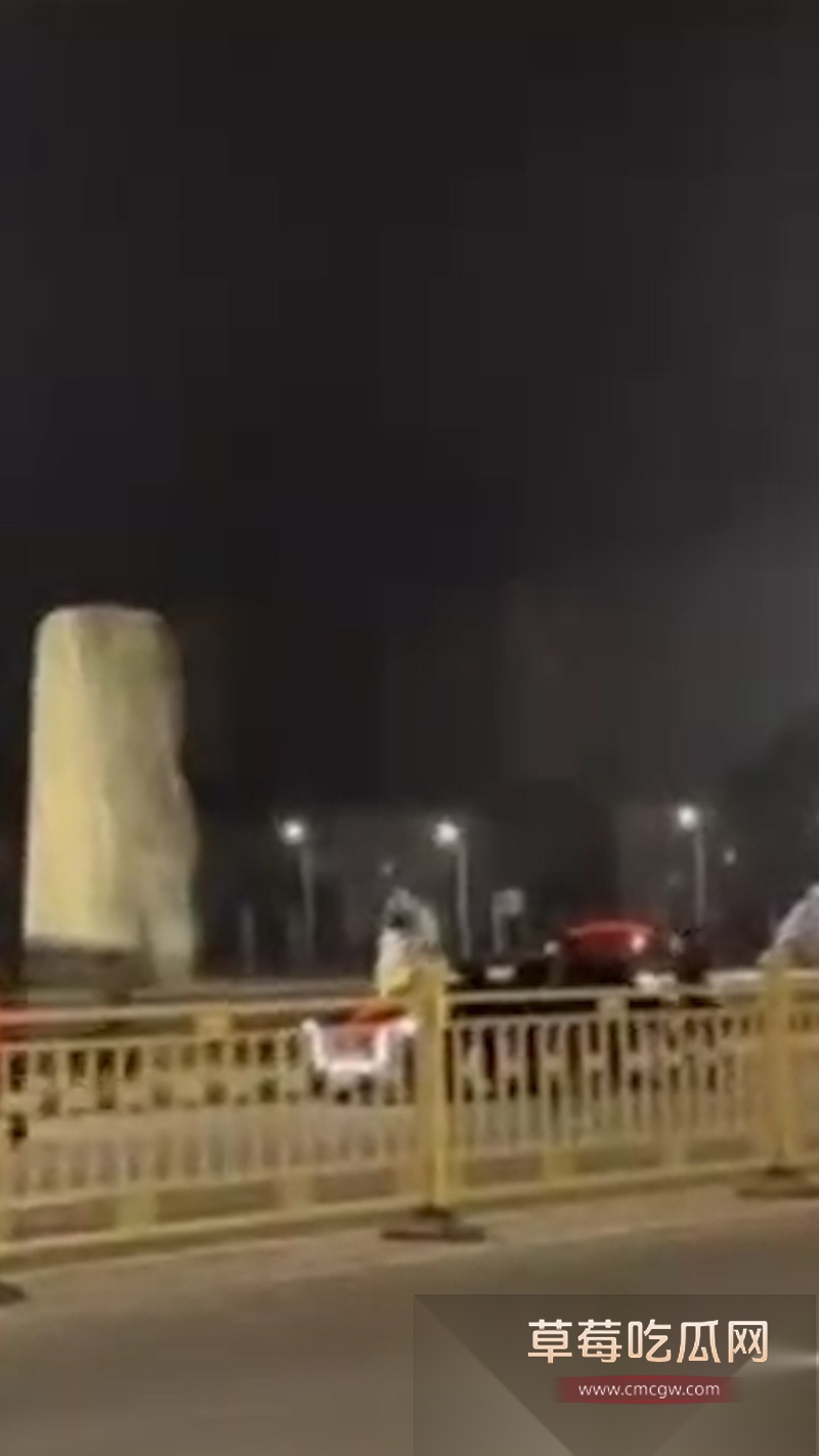 山东寿光公安局局长王滨干儿子带百人在公安局附近持刀火拼 5