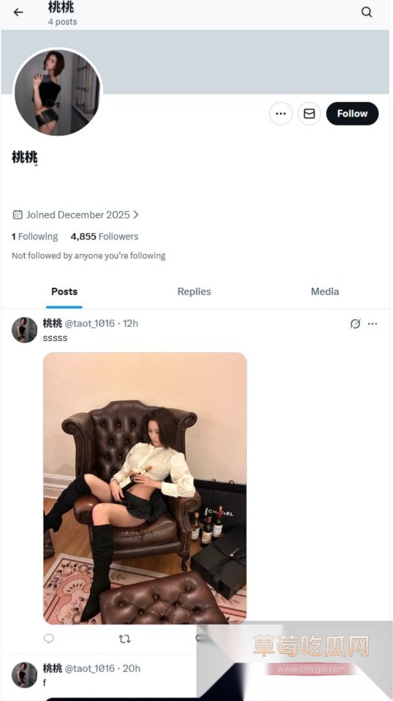 英区顶流时尚博主 秋山桃 3