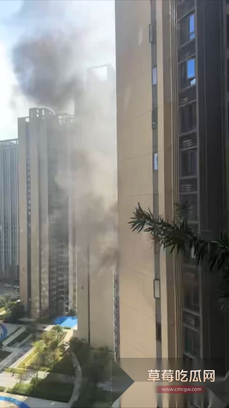珠海一酒鬼酒后纵火 烧毁楼房引发紧急疏散 1