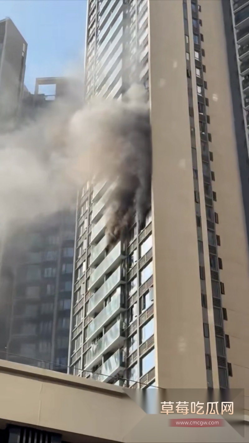 珠海一酒鬼酒后纵火 烧毁楼房引发紧急疏散 3