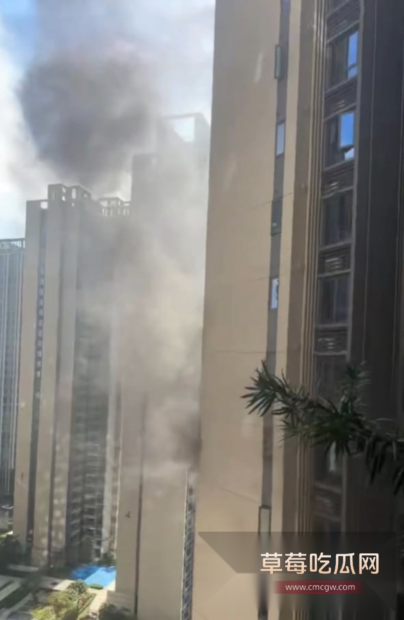 珠海一酒鬼酒后纵火 烧毁楼房引发紧急疏散 12