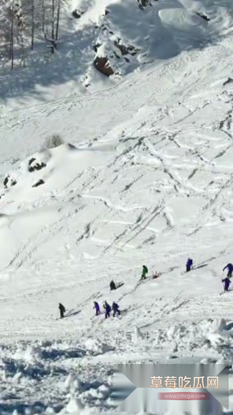 新疆禾木吉克普林滑雪场突发雪崩 4