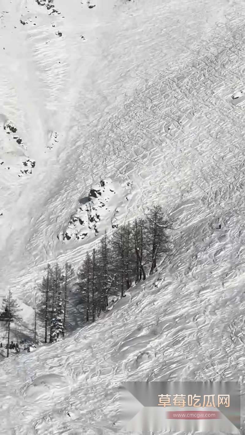 新疆禾木吉克普林滑雪场突发雪崩 9