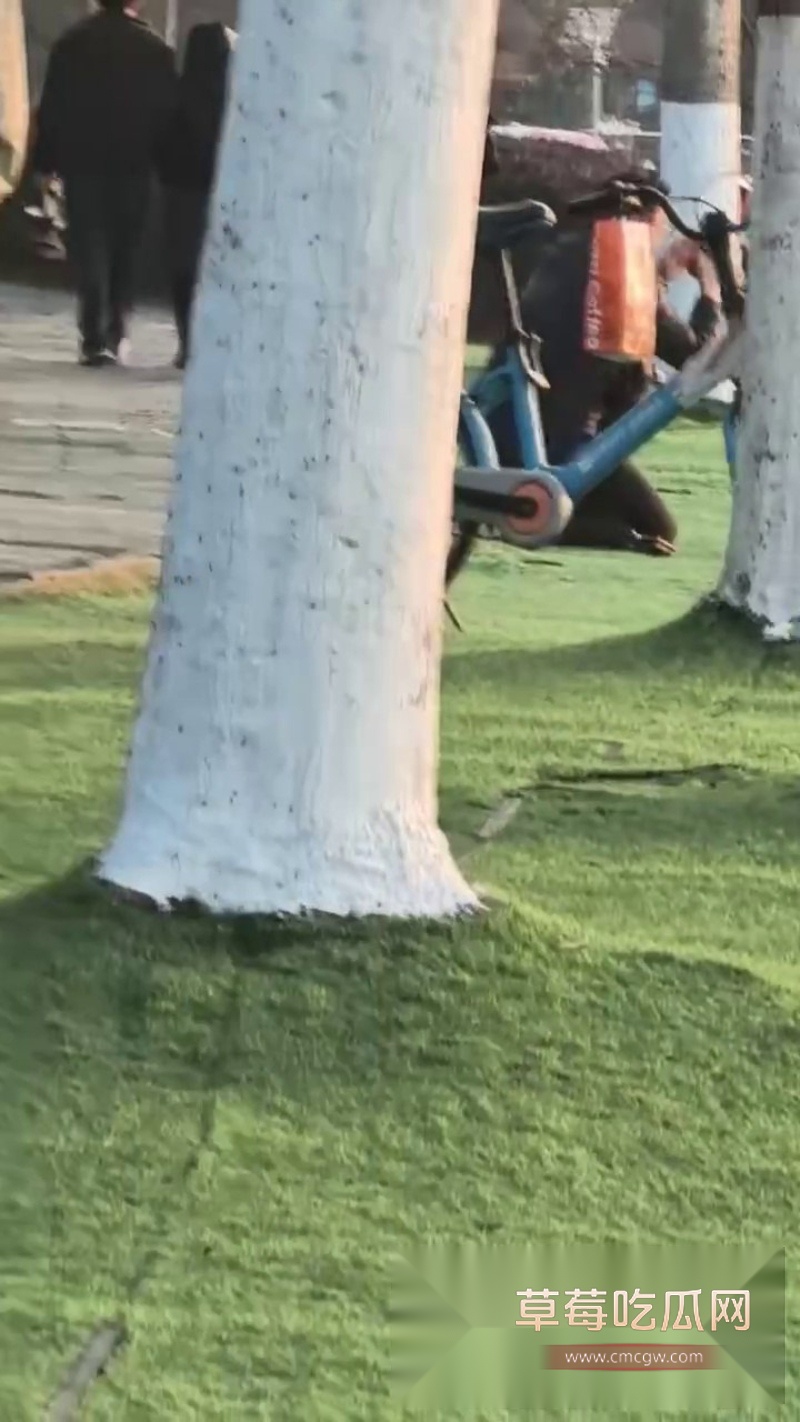 小情侣户外狂野吃奶游戏 9