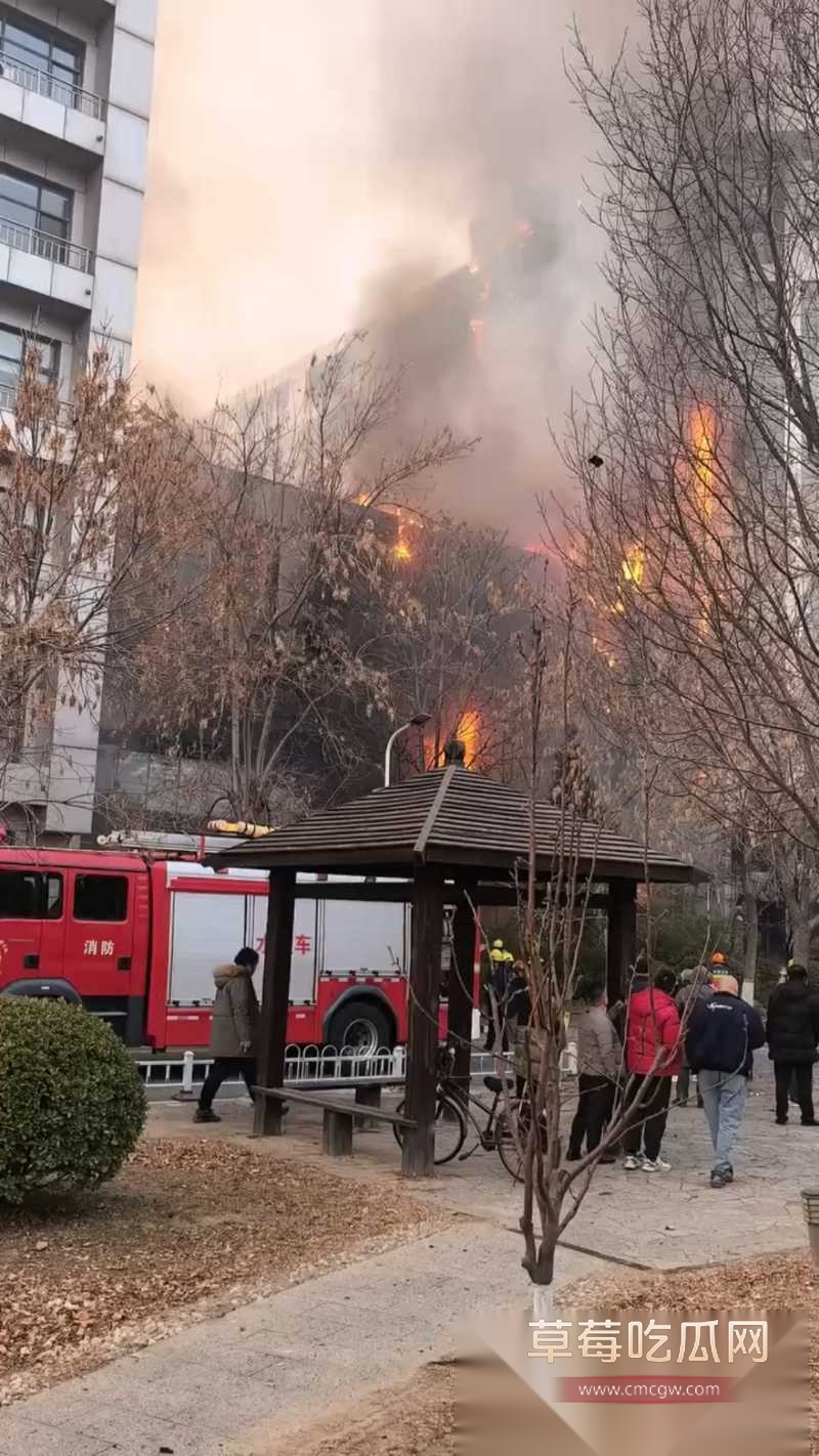 天津市西青区华鼎置地突发火灾 2