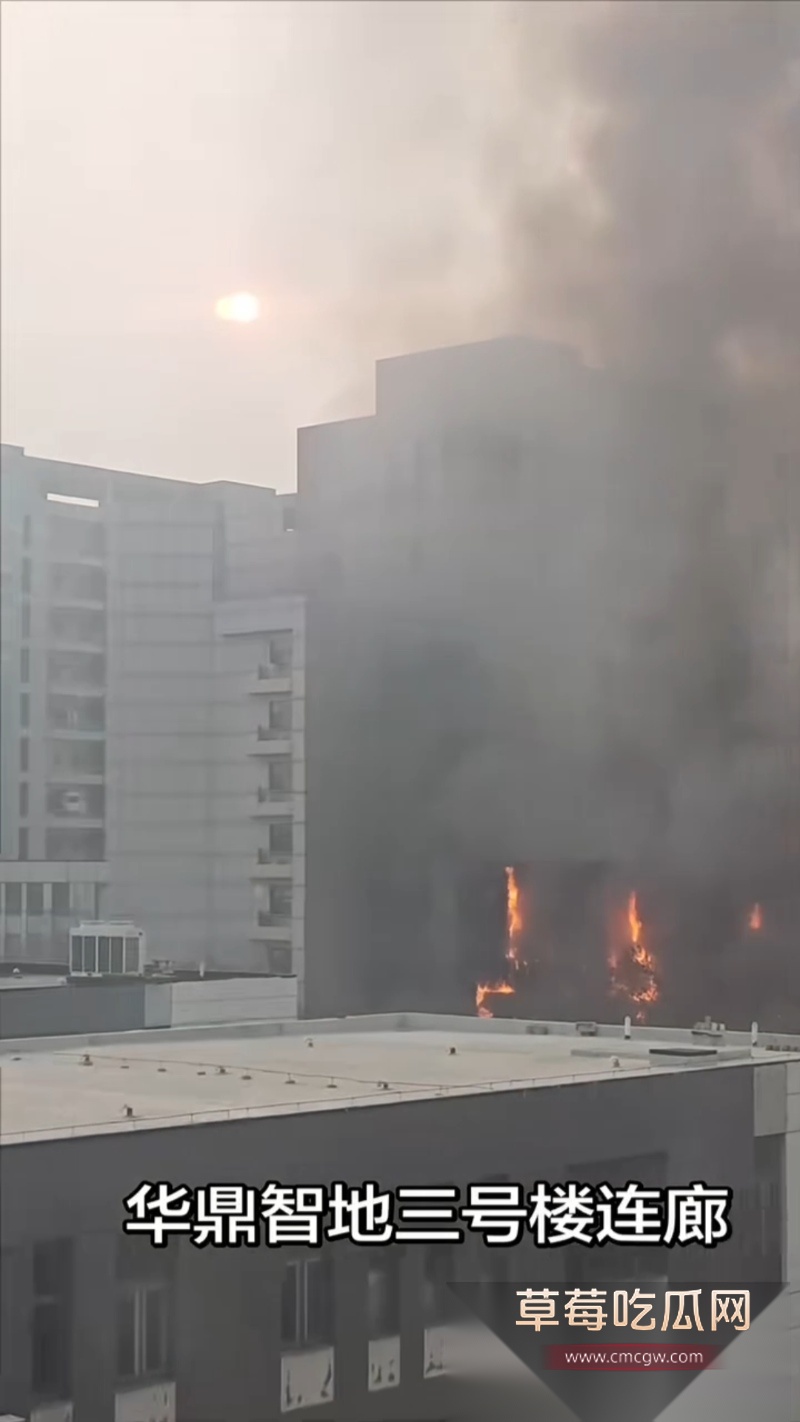 天津市西青区华鼎置地突发火灾 3