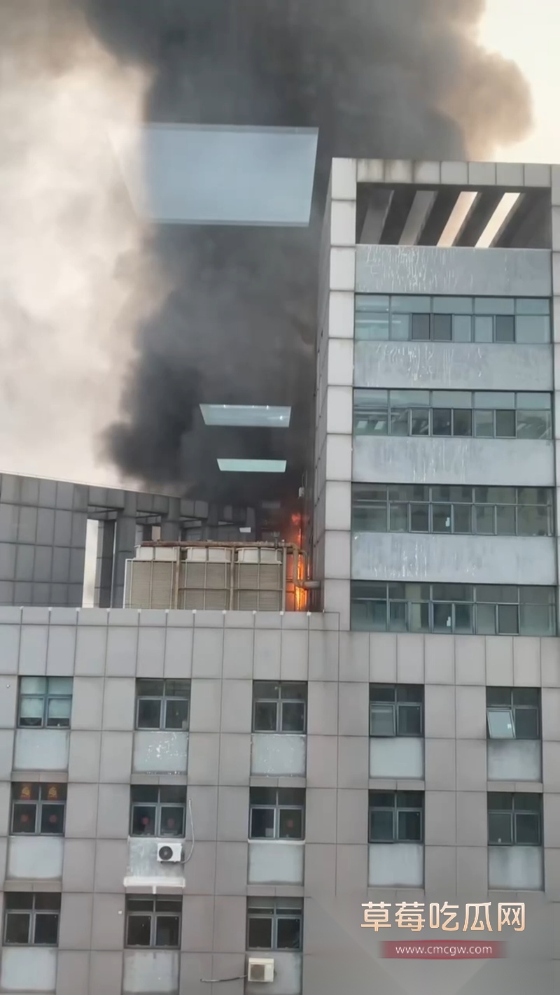 天津市西青区华鼎置地突发火灾 8