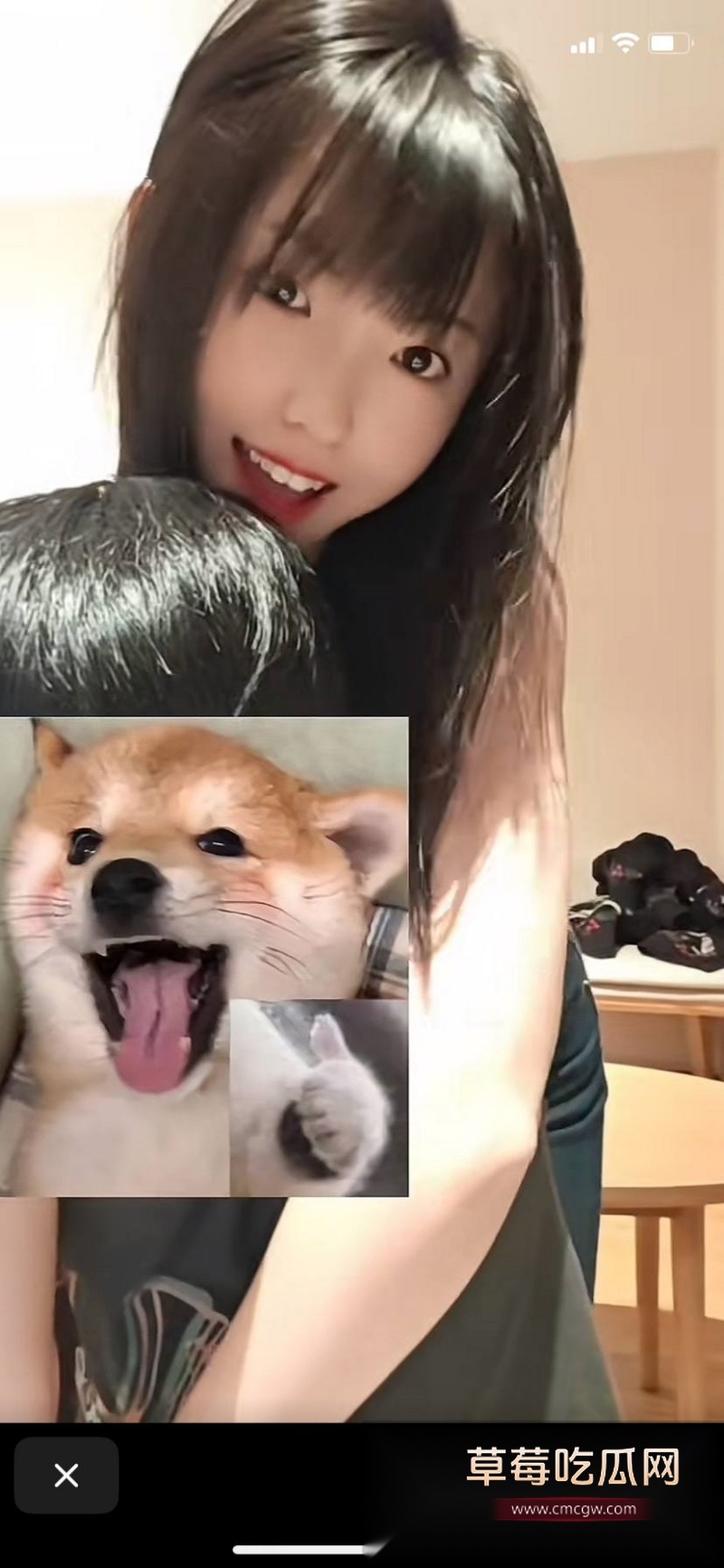 浙江杭州网黄 蛇信子姐姐 4 浙江杭州网黄 蛇信子姐姐 4