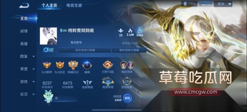 王者荣耀职业骗炮哥陈欣妥妥“炮王”在世  1