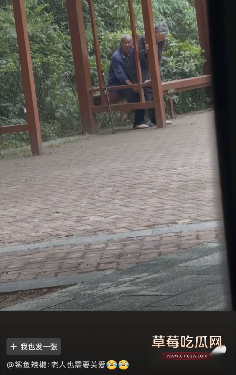 各种保姆的宣传信息2