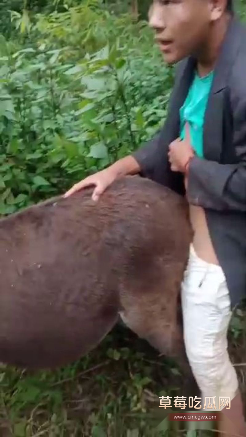 小伙饥渴爆棚直接后入骡子3 小伙饥渴爆棚直接后入骡子3