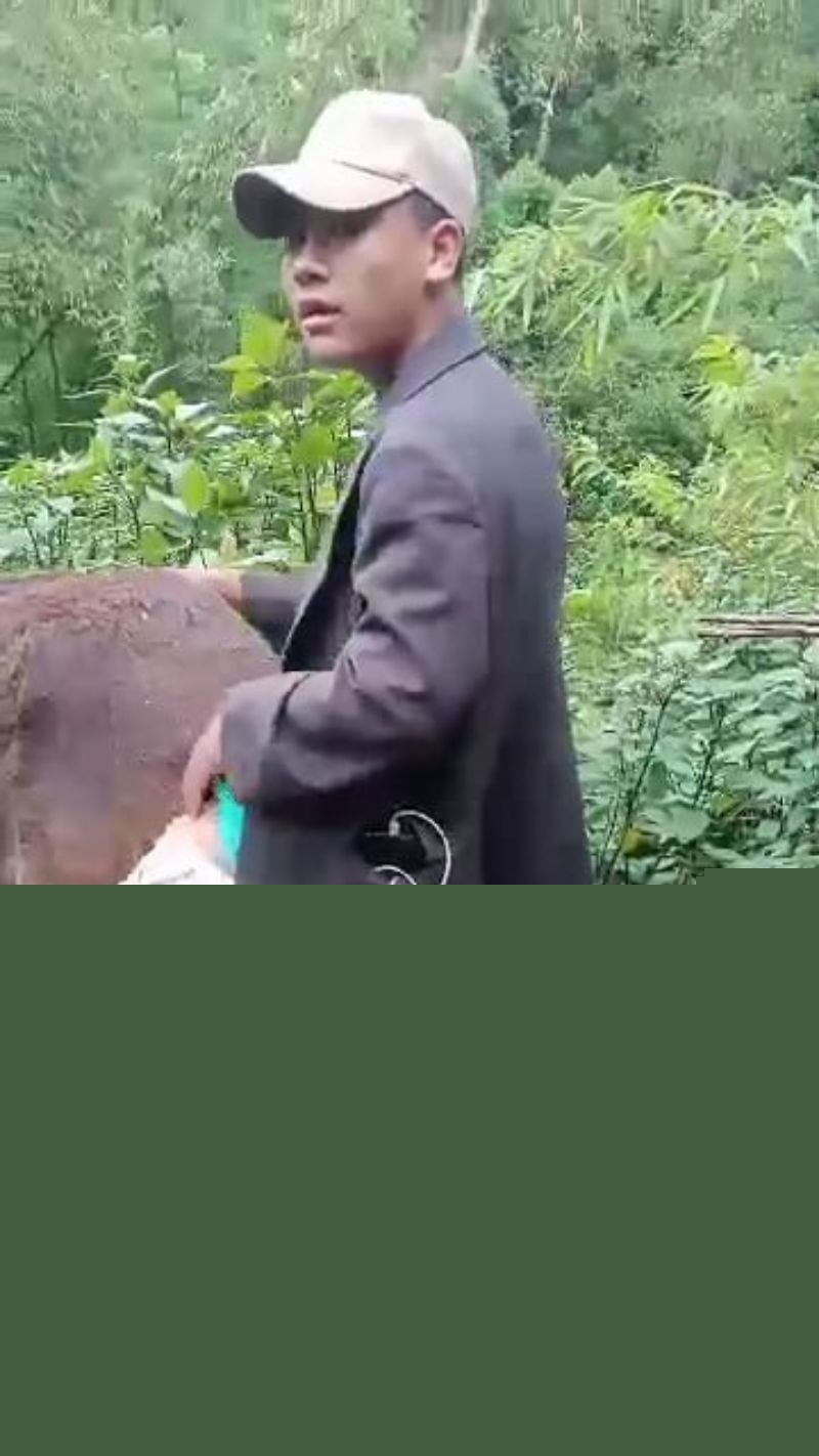 小伙饥渴爆棚直接后入骡子6 小伙饥渴爆棚直接后入骡子6