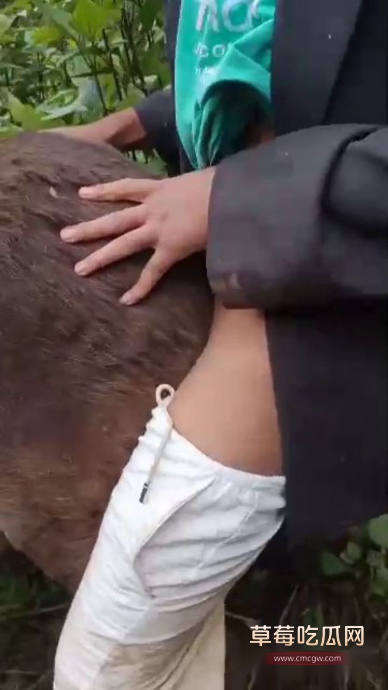 小伙饥渴爆棚直接后入骡子7 小伙饥渴爆棚直接后入骡子7