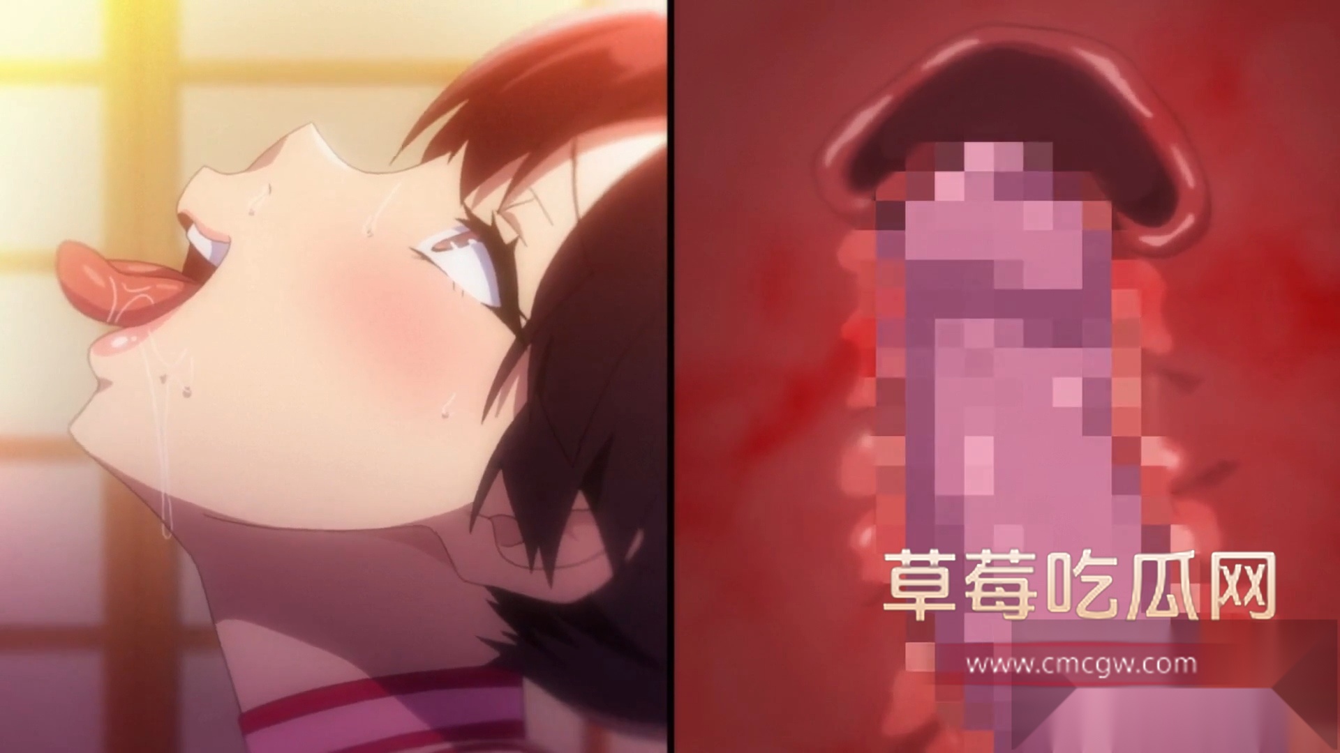 紫阳花散落之时 20