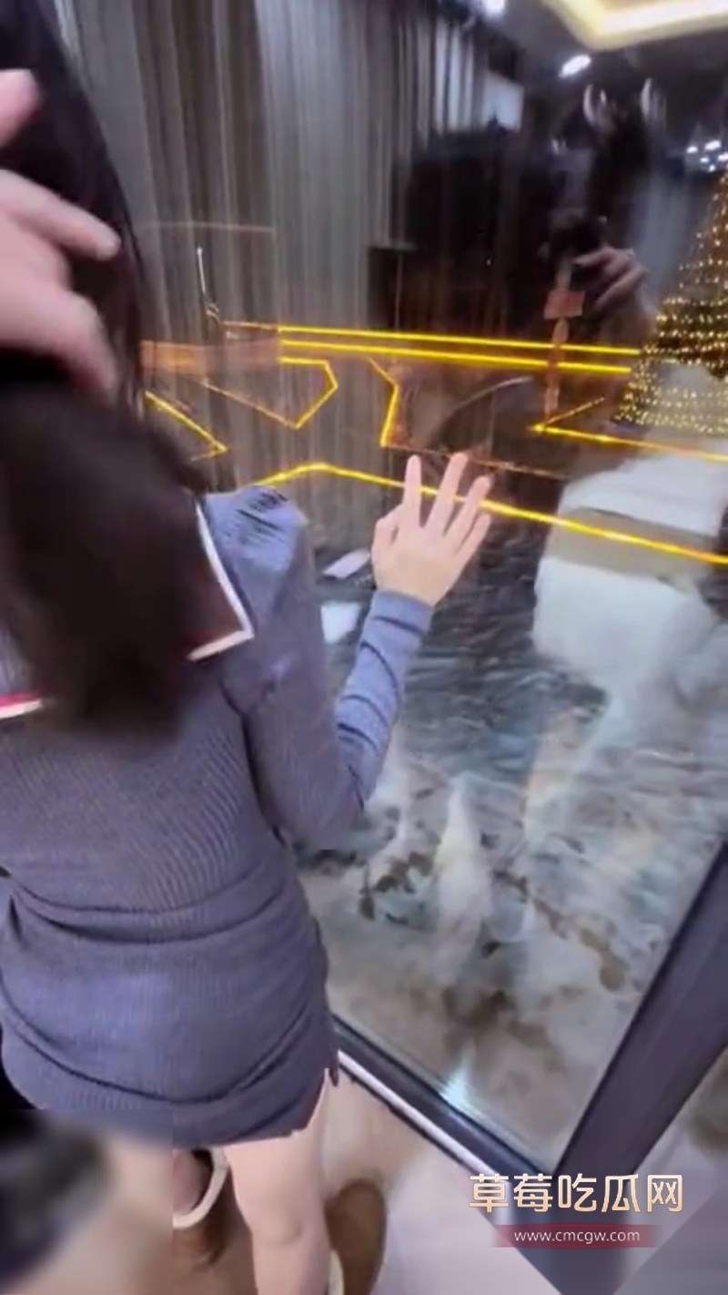 妹妹和海友们今年一起同步过个圣诞炮 4 妹妹和海友们今年一起同步过个圣诞炮 4