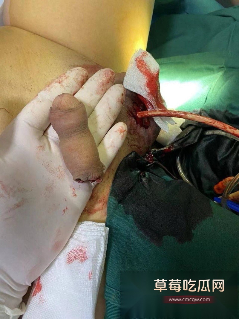 留学圈顶流Vince哥黄宇辰  3