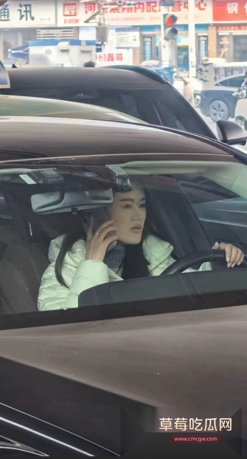 郑州奔驰E300L出轨哥火了 原配大马路上捉奸渣男  5