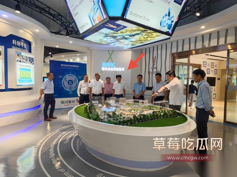 云南玉溪元江县农业局副局长张颖偷情被曝 19 云南玉溪元江县农业局副局长张颖偷情被曝 19