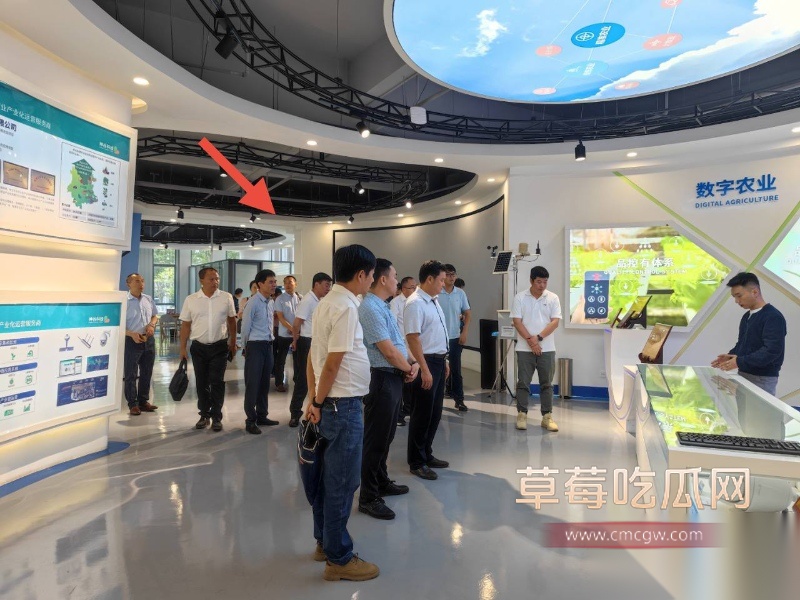 云南玉溪元江县农业局副局长张颖偷情被曝 20 云南玉溪元江县农业局副局长张颖偷情被曝 20