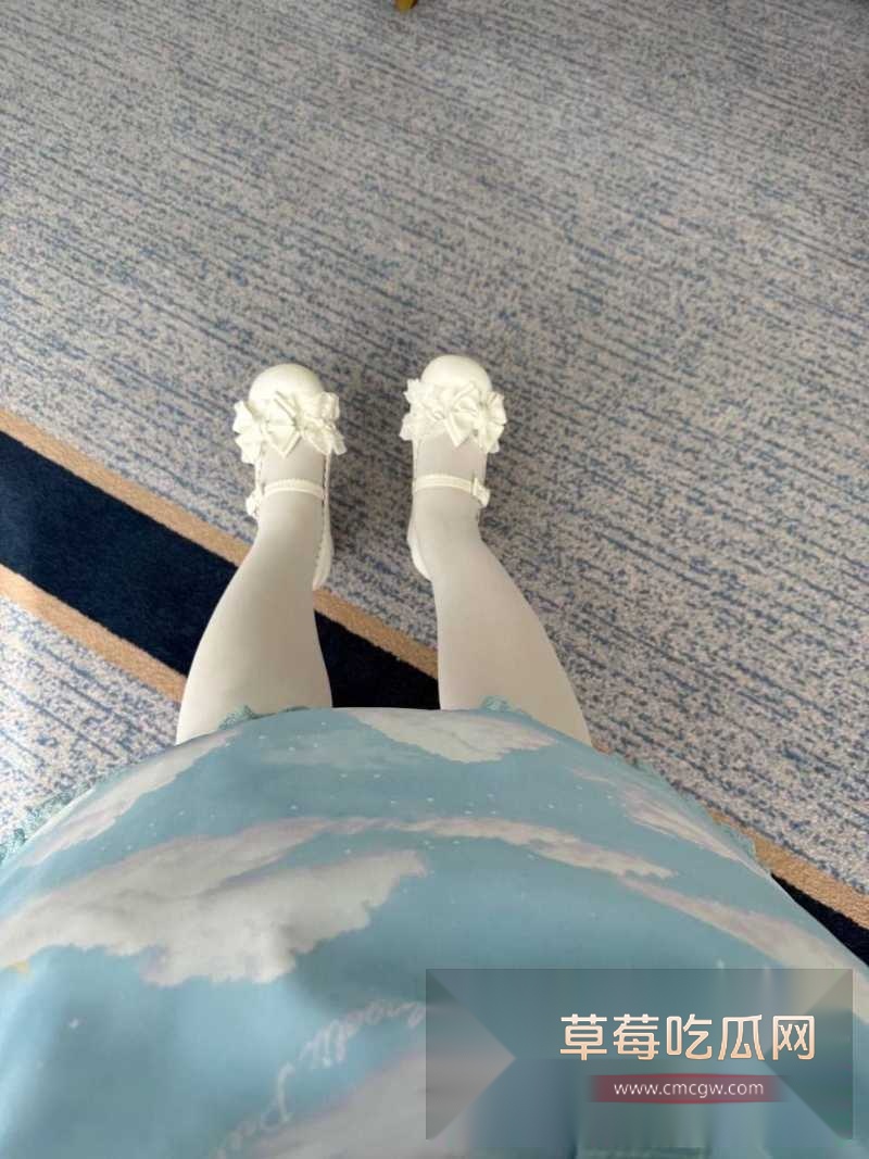 推特微微胖高颜值双马尾少萝 28