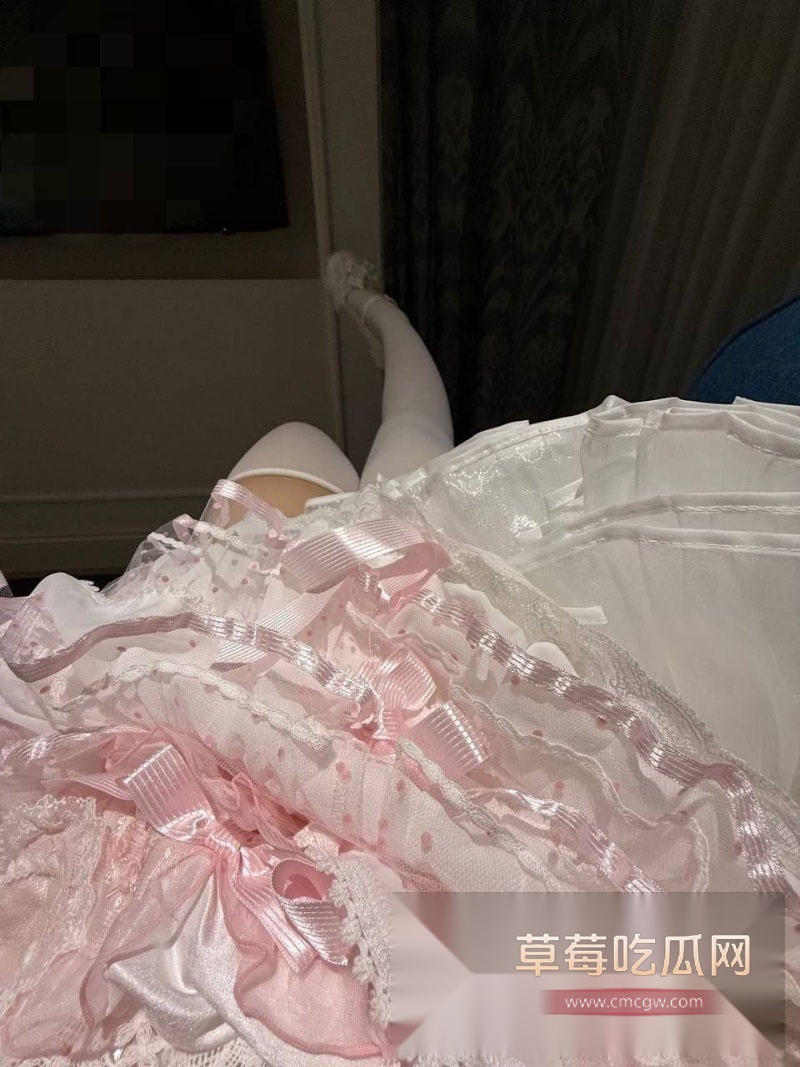 推特微微胖高颜值双马尾少萝 30