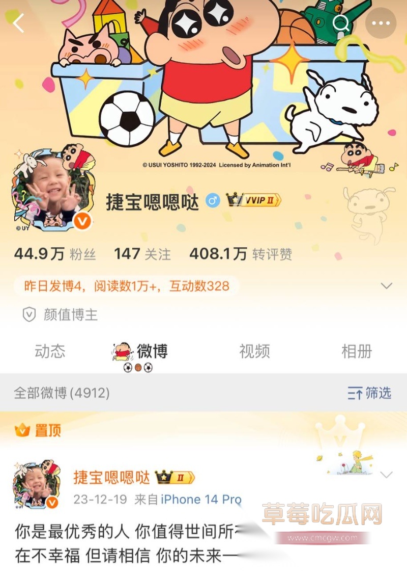 全网60w粉TS网红选妃睡粉 27