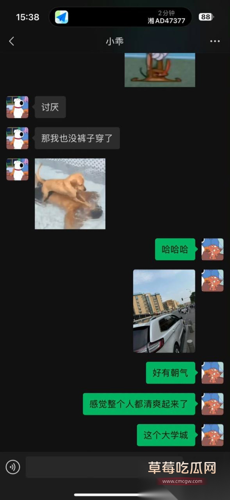 全网60w粉TS网红选妃睡粉 29