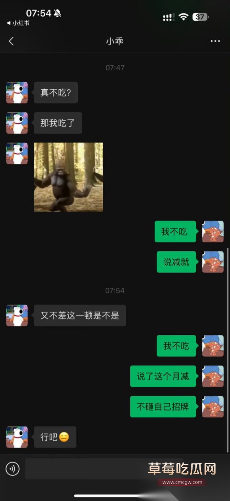 全网60w粉TS网红选妃睡粉 32