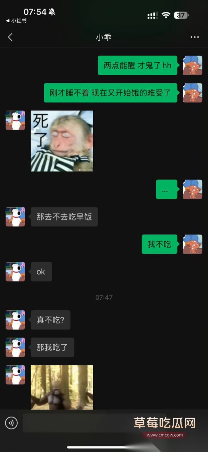 全网60w粉TS网红选妃睡粉 35