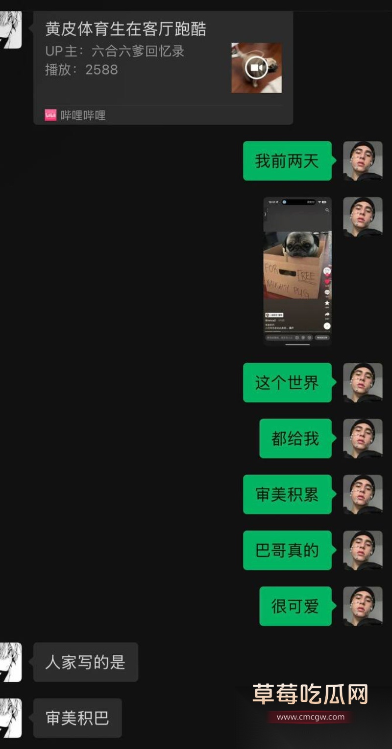 全网60w粉TS网红选妃睡粉 36
