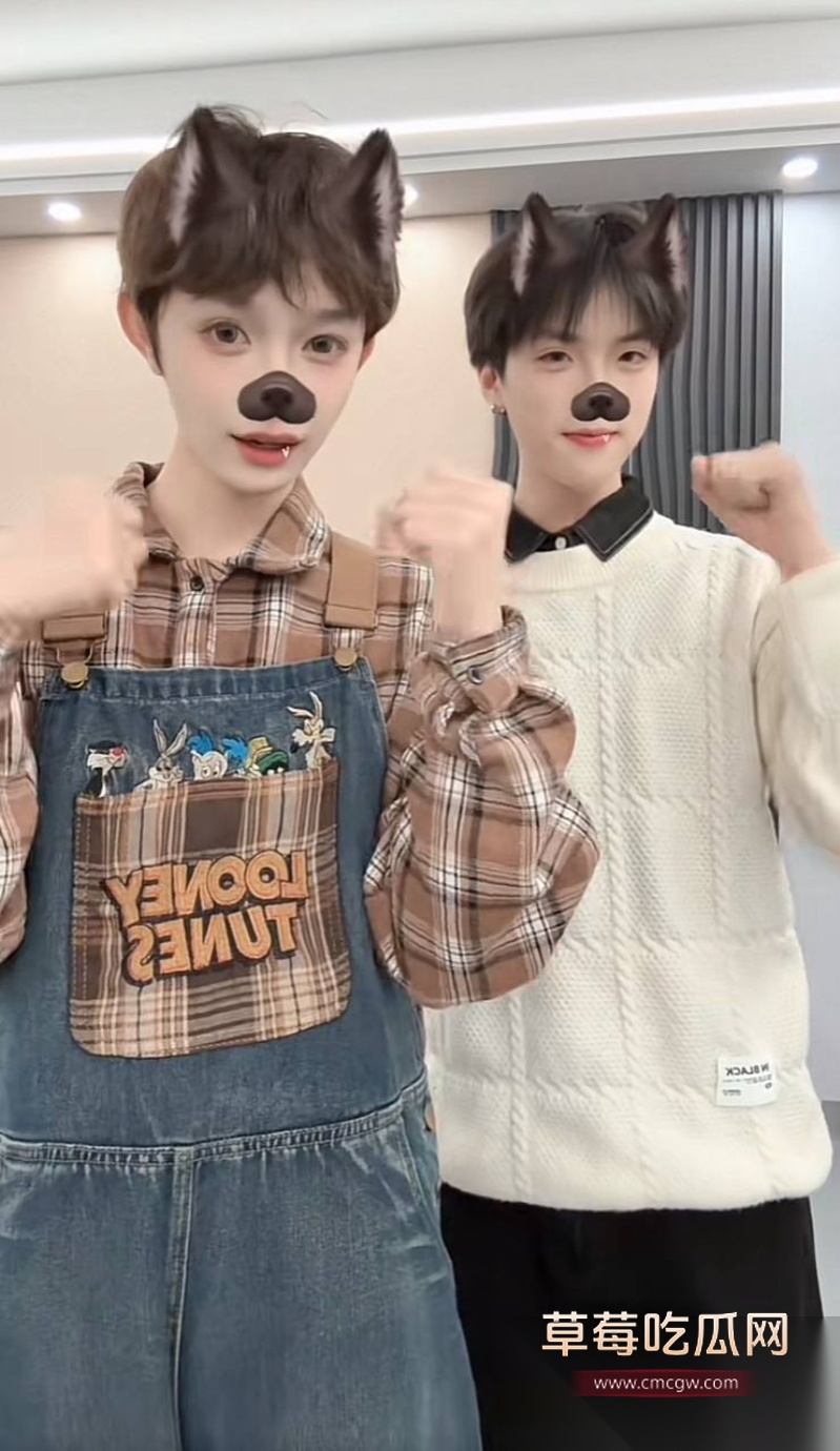 全网60w粉TS网红选妃睡粉 46